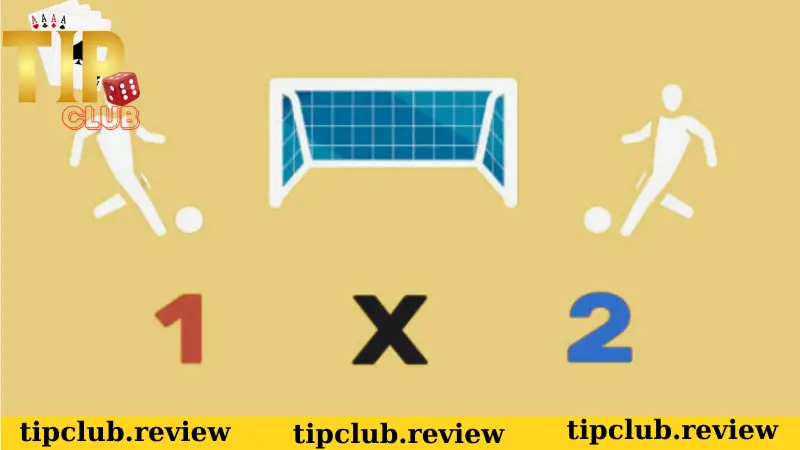 Giới thiệu các loại kèo hấp dẫn tại sảnh thể thao Tipclub